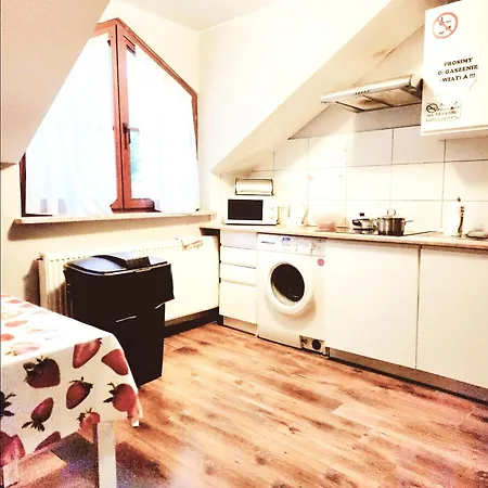 Wiekowa Sosna Zalesie Gorne