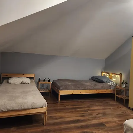 Wiekowa Sosna * Zalesie Gorne