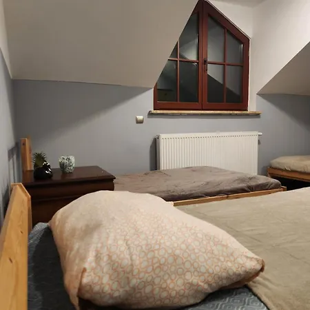 Wiekowa Sosna * Zalesie Gorne