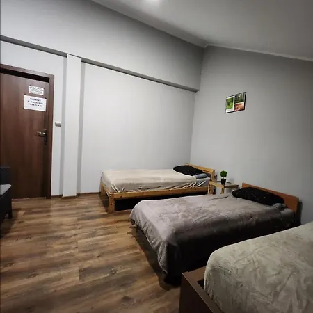 Wiekowa Sosna Zalesie Gorne