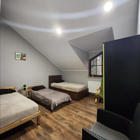 Wiekowa Sosna * Zalesie Gorne