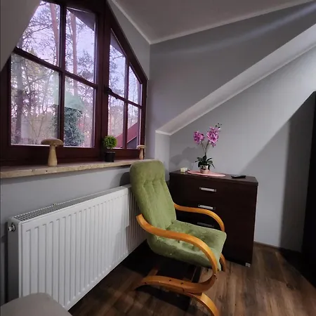 Wiekowa Sosna بيت ضيافة Zalesie Gorne