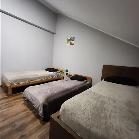 Wiekowa Sosna *