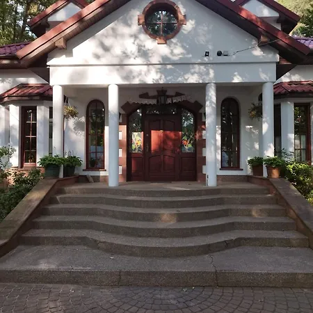 Wiekowa Sosna Zalesie Gorne