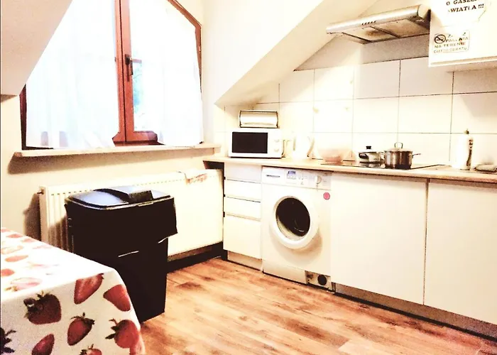 Wiekowa Sosna Zalesie Gorne