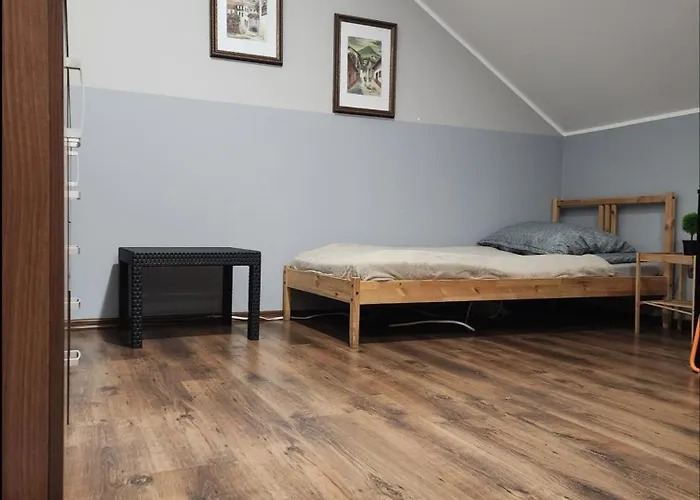 Wiekowa Sosna * Zalesie Gorne