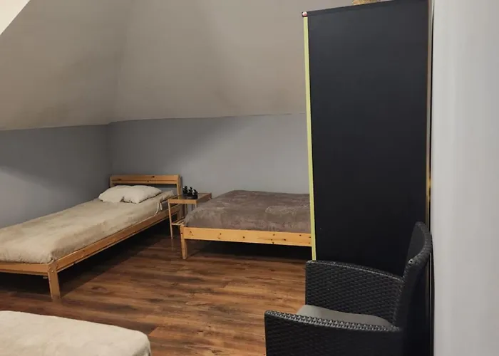 Wiekowa Sosna * Zalesie Gorne