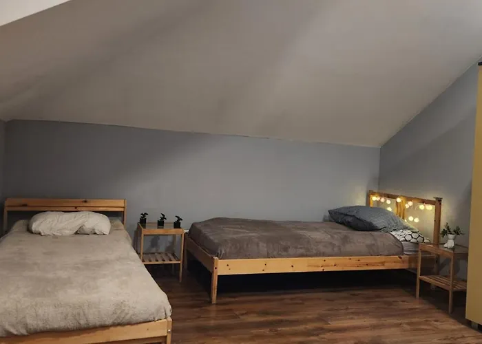 Wiekowa Sosna * Zalesie Gorne