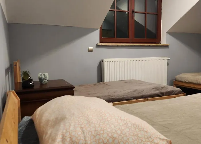 Wiekowa Sosna * Zalesie Gorne