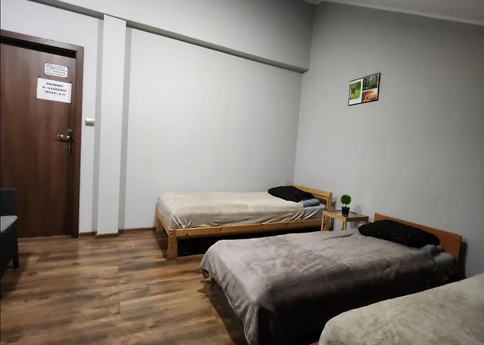 Wiekowa Sosna Zalesie Gorne