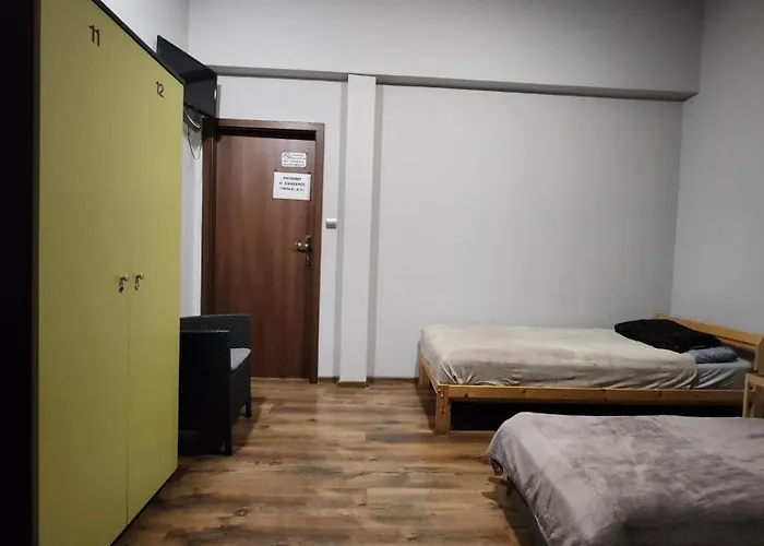 Wiekowa Sosna * Zalesie Gorne