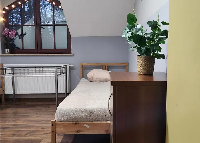 Pensjonat Wiekowa Sosna