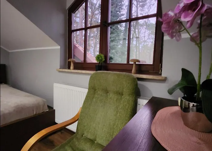 Pensjonat Wiekowa Sosna Zalesie Gorne