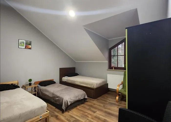 Wiekowa Sosna * Zalesie Gorne