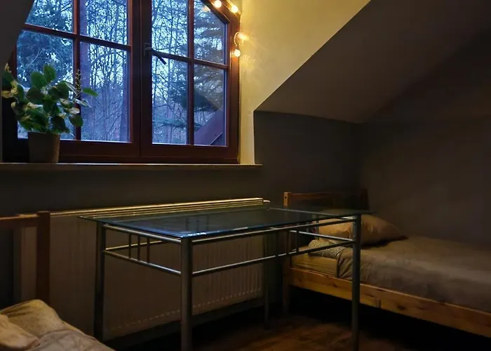 Wiekowa Sosna Zalesie Gorne