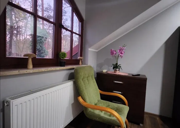 Wiekowa Sosna Pensjonat Zalesie Gorne