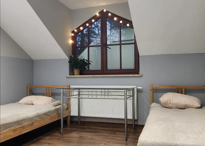 Wiekowa Sosna Zalesie Gorne