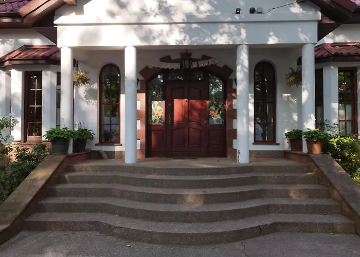 Wiekowa Sosna Zalesie Gorne